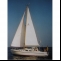 Yacht Contest 31 Details